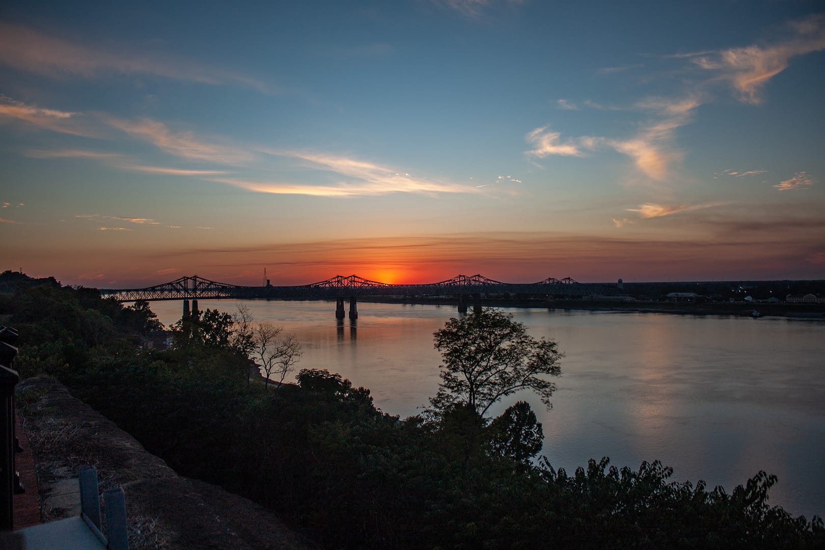 _MG_4501_web